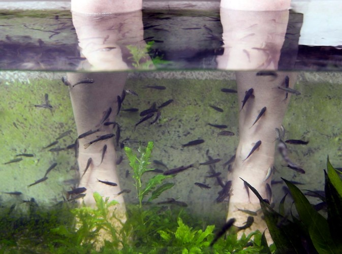 Fish pedicure podbija Azję