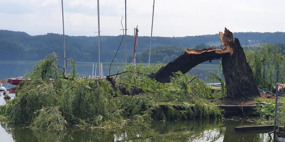 Potężna burza nad Chodzieżą, duże zniszczenia. Burmistrz: Alertu RCB nie było. Był tydzień temu w sprawie wyborów