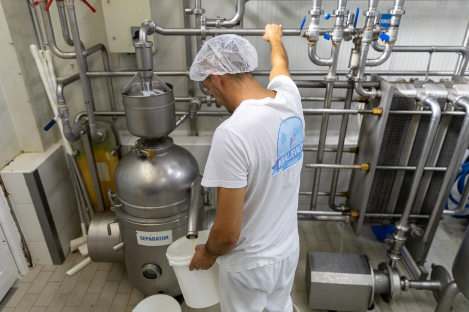 Kraljevačka mlekara