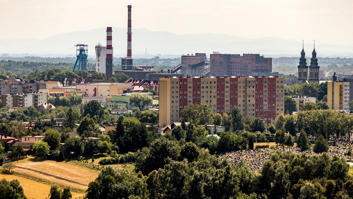 W Rybniku odsłonięto wczoraj płaskorzeźbę przedstawiającą XIX-wiecznego lekarza i przyrodnika Juliusza Rogera, inicjatora budowy szpitala nazwanego później jego imieniem. Władze miasta chcą przejąć i zrewitalizować ten obiekt oraz teren wokół niego.