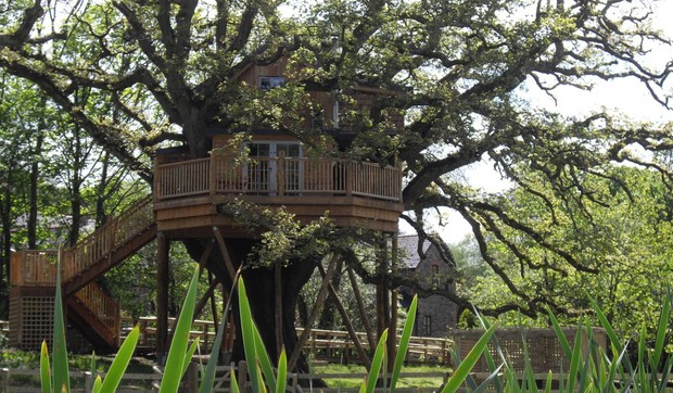 482743_kucica-na-drvetu-foto-profimedia-4