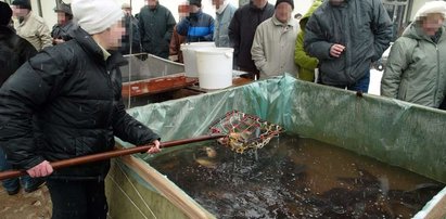 Szok! Karp na święta będzie po... Zobacz cenę