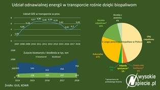 W Polsce rośnie "zielony" transport. Ale nie dzięki elektrykom