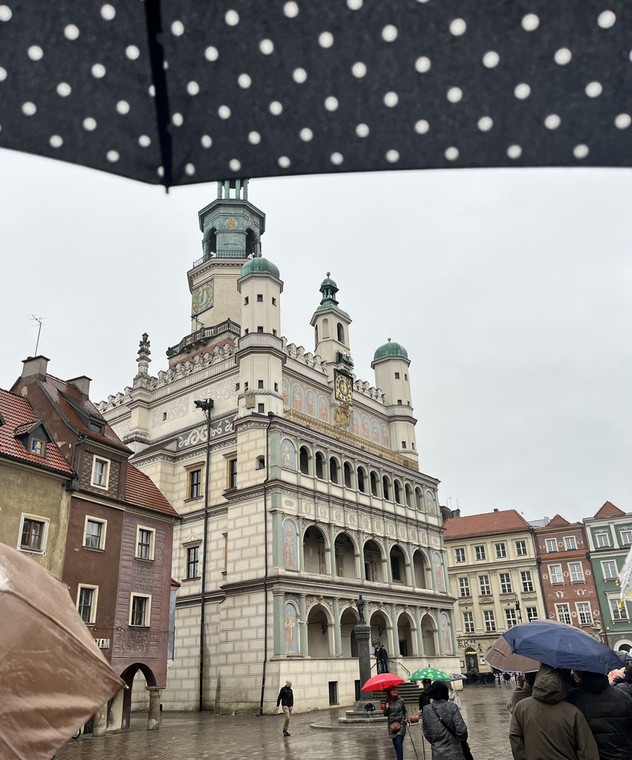 Poznańskie koziołki. Deszcz nie odstraszył turystów, bo tę atrakcję po prostu trzeba zobaczyć
