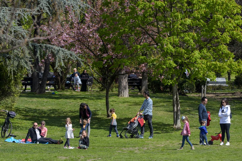 Novi Sad, Dunavski park
