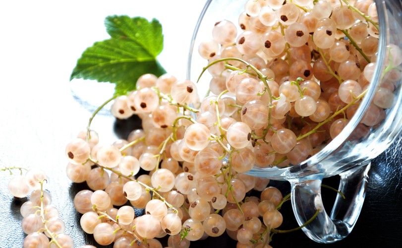 Dlaczego warto jeść porzeczki?