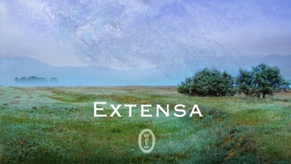 Extensa. Fragment książki - Fragmenty Książek