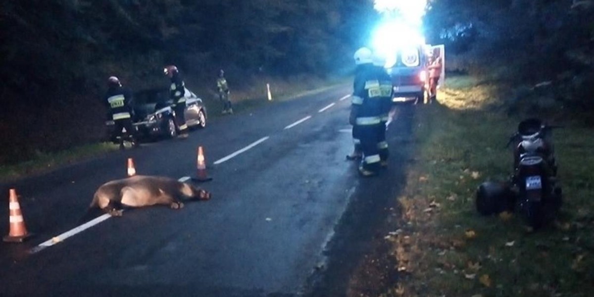 Wypadek pod Przemyślem. W dzika uderzył samochód, potem motocyklista