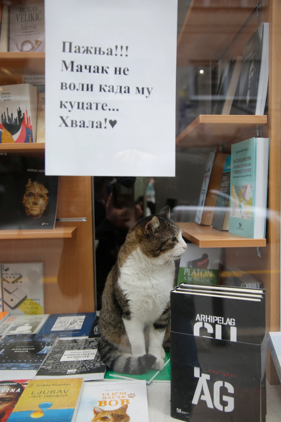 Srećko voli sve knjige, bez izuzetka.