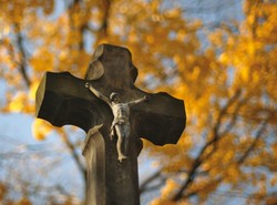 Dziewczynki z nudów powyrywały krzyże