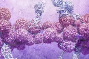 Komputerowa symulacja pokazująca limfocyty T (białoniebieskie) niszczące komórki nowotworowe (fioletowe)