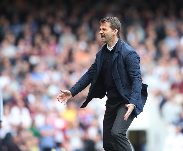 Liga angielska: Tim Sherwood nie jest już trenerem Tottenhamu