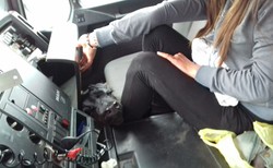 Kontrola ITD wykryła tłok w kabinie i... czterodniowe cielę. Z wrażenia zrobili zdjęcia