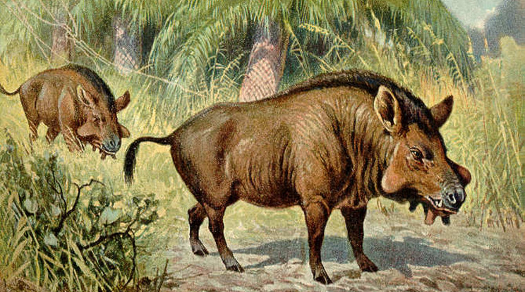 Eentelodon és más különös óriás állatok éltek egykor a földön