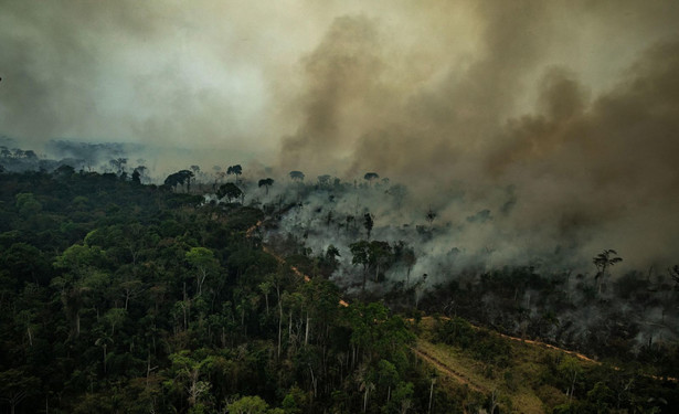 Amazonia płonie, ale Brazylia... odrzuca pomoc G7. "Macron nie potrafił zapobiec pożarowi Notre Dame, a chce nas pouczać?"