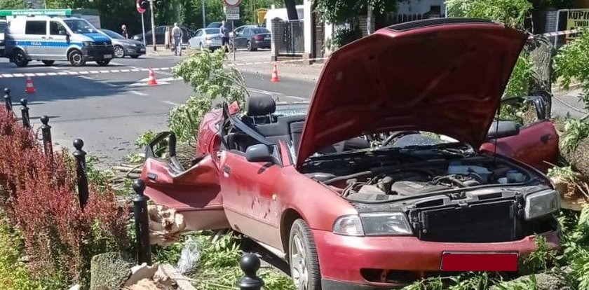 Przerażające sceny w Żywcu. Potężne drzewo runęło na jezdnię i przygniotło przejeżdżające auto. Nagranie szokuje