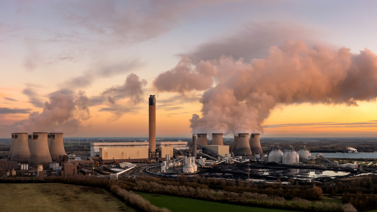 Elektrownia na biomasę  bardziej szkodliwa dla klimatu niż węgiel. Wstrząsające wyniki raportu