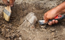 Niesamowite odkrycie na terenie polskiej kopalni. "Sprzed 17 mln lat"