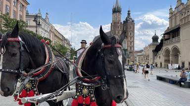 Dorożkarze o rzekomym złym traktowaniu koni: wiemy, kto ma interes w tym, by tak o nas mówiono