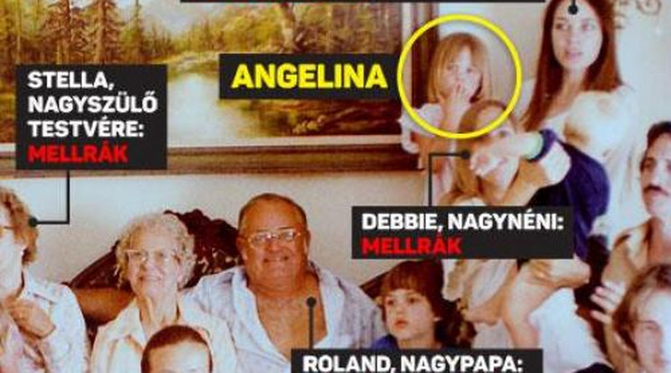 Döbbenetes kép: Ők haltak meg rákban Angelina Jolie családjából
