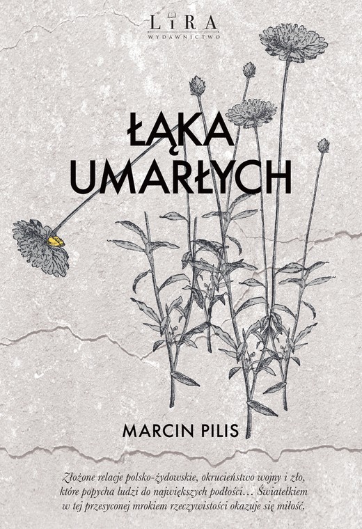 Marcin Pilis, "Łąka umarłych" (okładka)