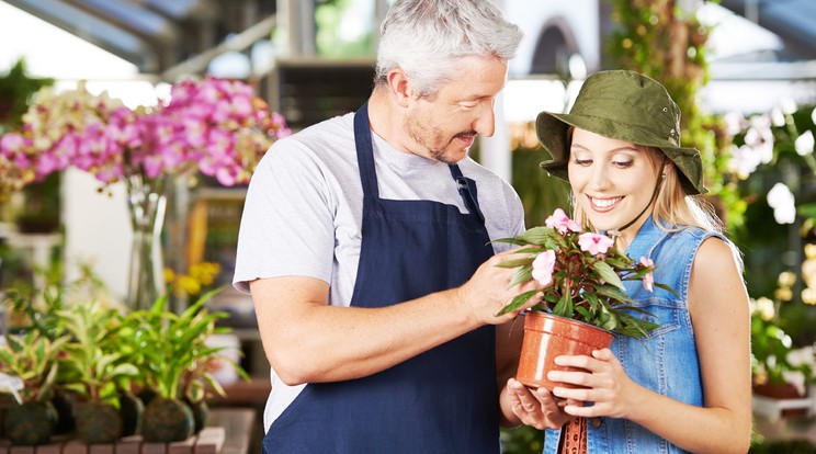 Válasszunk növényt fény és árnyék szerint
/Fotó: Shutterstock