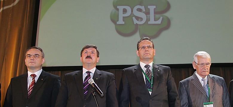 PSL uderza w rywali... kulą bilardową