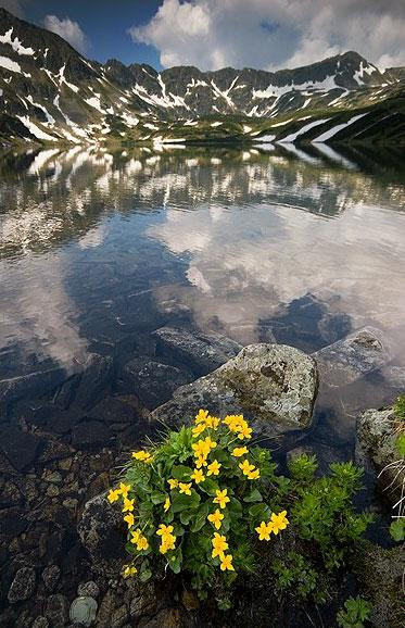 Galeria Polska - Tatry - okolice Doliny Pięciu Stawów, obrazek 28