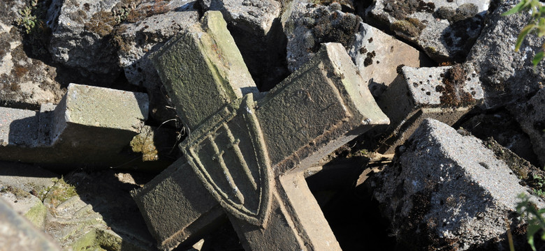 Niski stan Odry odsłonił krzyże z powojennego cmentarza. ZDJĘCIA