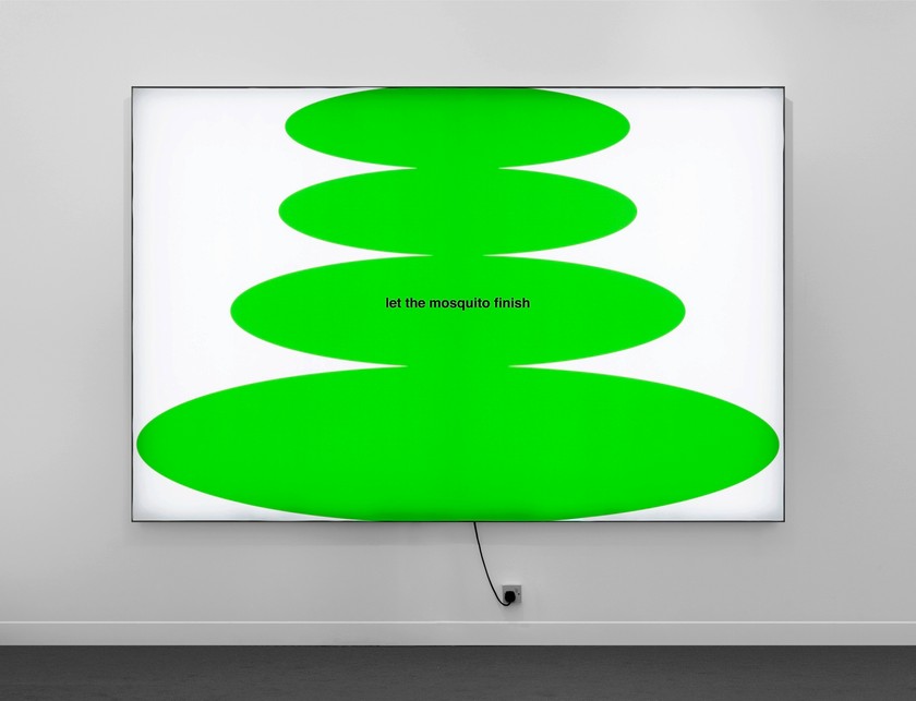 NORA TURATO «Let the Mosquito Finish», 2021. 