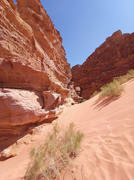 Wadi Rum Jordania
