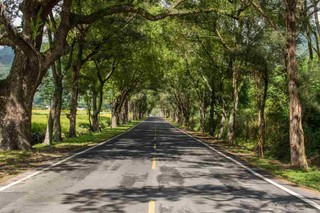 Gmina, godząc się na ponadtonażowe pojazdy inwestorów, nie może się zachowywać jak monopolista