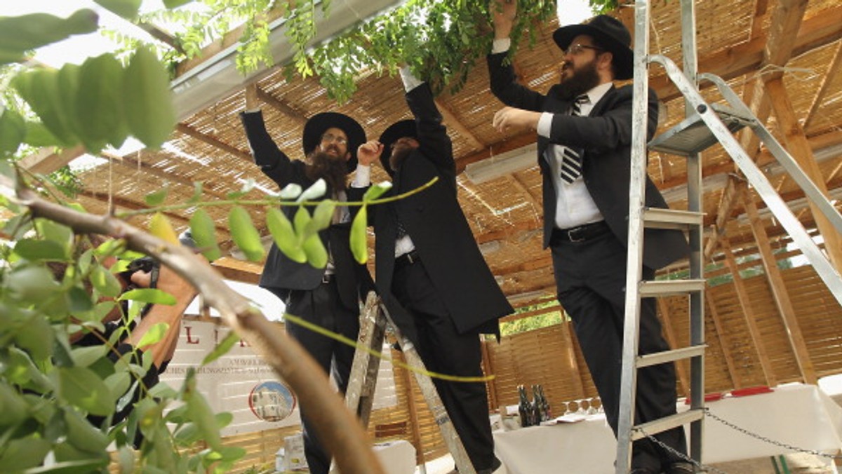 Po Jom Kippur wyznawcy judaizmu zaczynają budowę namiotów na święto Sukkot, które rozpoczyna się 12 pażdziernika po zachodzie słońca. Upamiętnia ono wędrówkę Żydów przez pustynię. Przez siedem dni i nocy praktykujący Żydzi jedzą w suka posiłki, śpią i zapraszają duchowych gości. Zgodnie z tradycją, werdykt na nowy rok, który został spisany na Rosz Haszana oraz zamknięty na Jom Kippur, ogłaszany jest właśnie ostatniego dnia święta Sukkot.