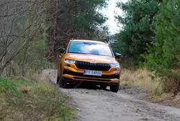 Skoda Karoq 2.0 TSI 190 KM: nieźle jeździ, sporo pali