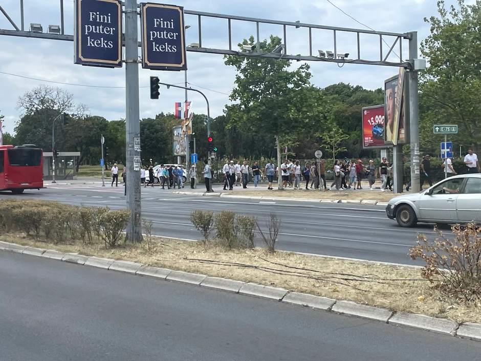 Pristalice SNS idu ka Pionirskom parku sa Novog Beograda