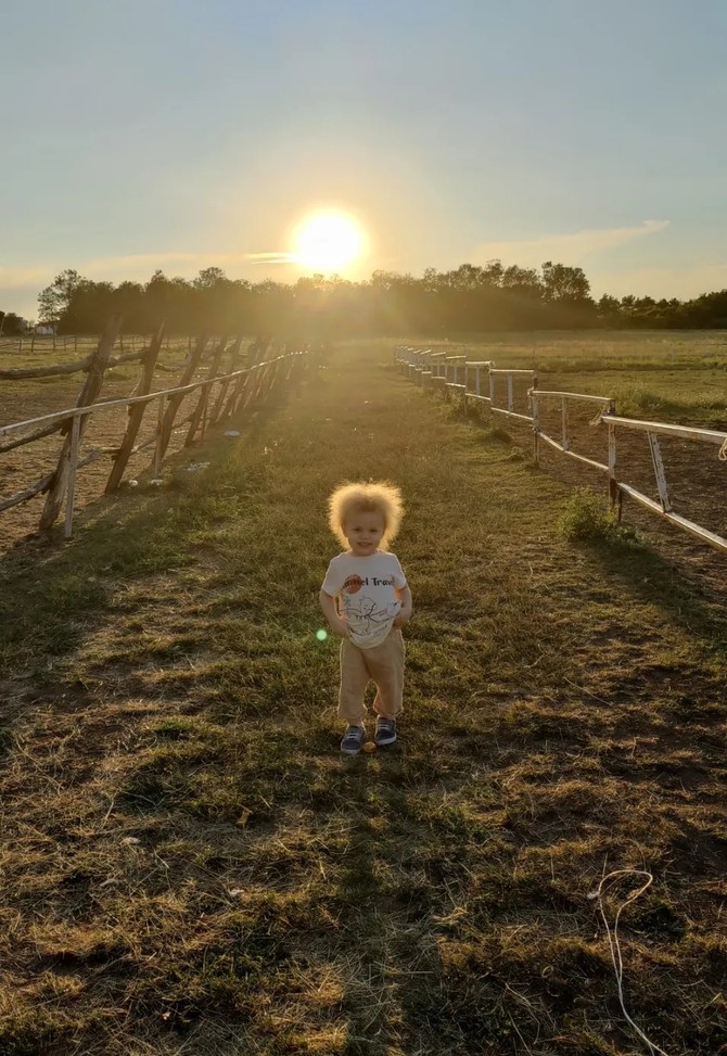 Predivni Lav i njegova predivna kosa foto: ustupljena fotografija/privatna arhiva