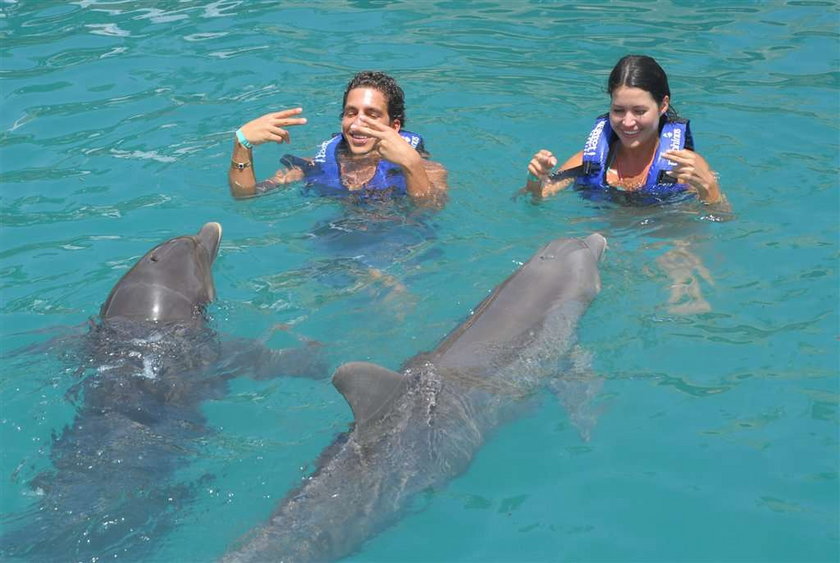 Łukasz Czarnecki Tańczący z delfinami