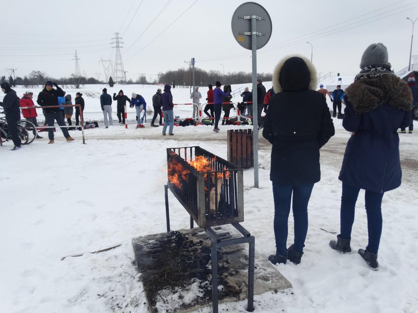 Kąpiel morsów w Zalewie Zemborzyckim