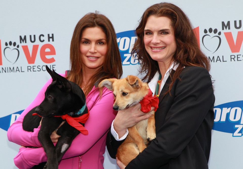 Cindy Crawford i Brooke Shields