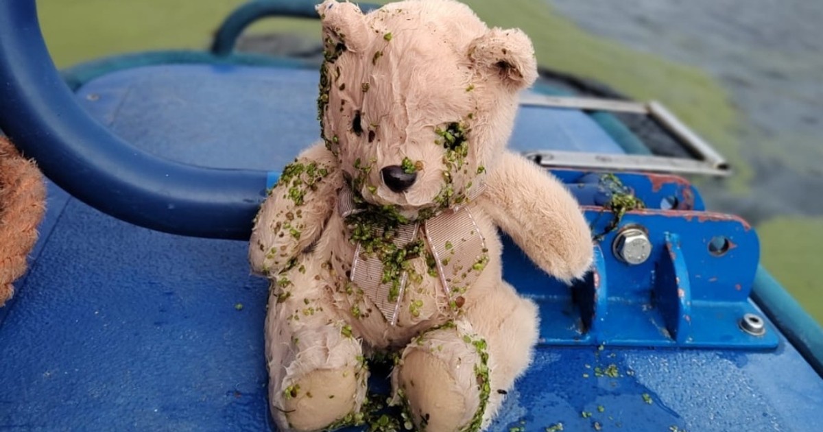 Ogłoszenie poruszyło Polaków. "Ocalony miś szuka swojego właściciela"