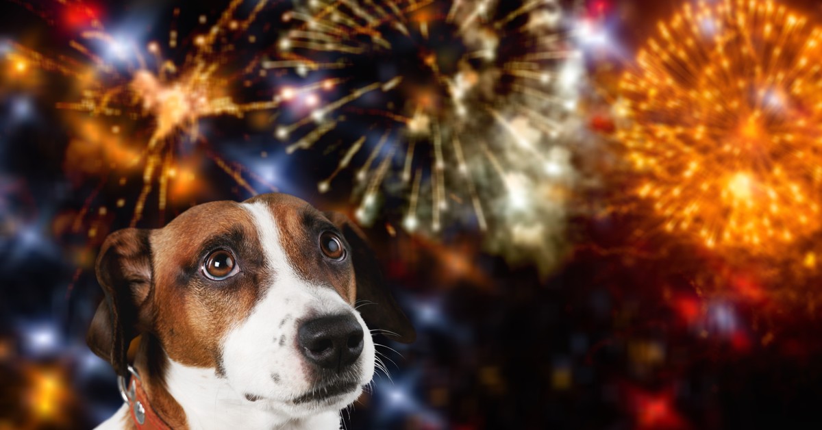 Gminy zakażą używania petard? Jest decyzja rządu