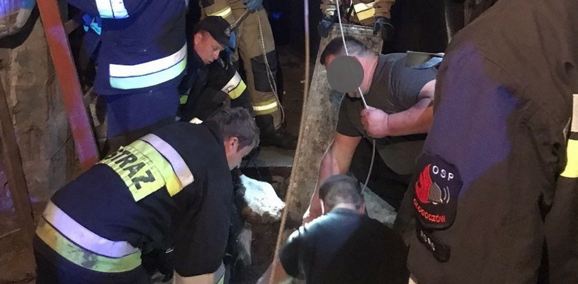 Krowa utknęła w kanale u mechanika, musieli ratować strażacy