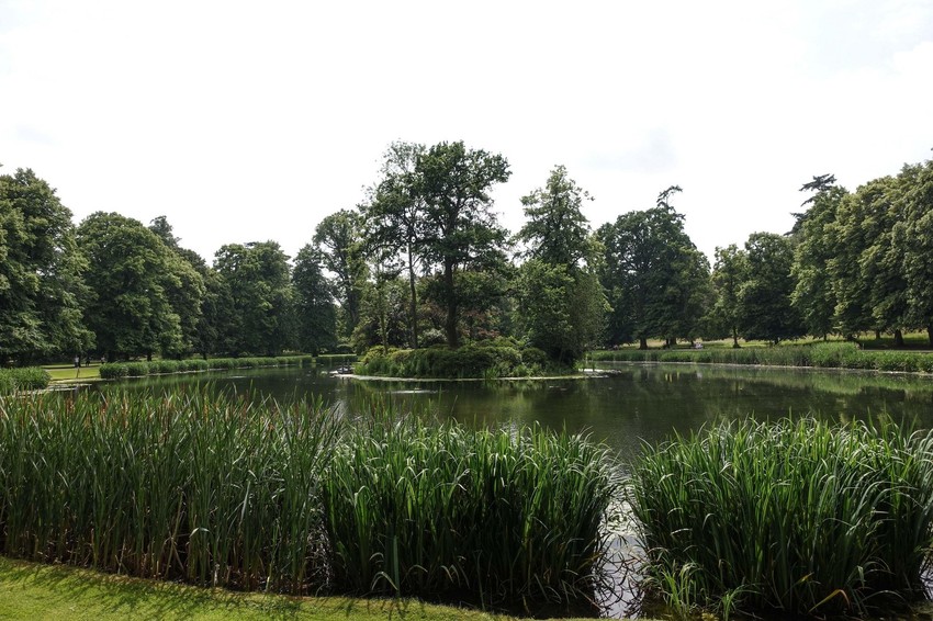 Altorp, imanje princeze Dajane