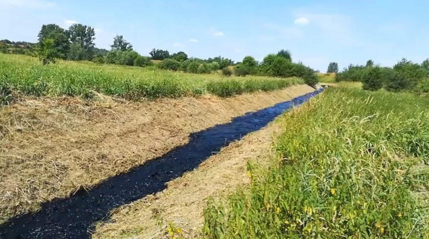 Poszli łowić ryby. Nagle rzekę zalała czerń