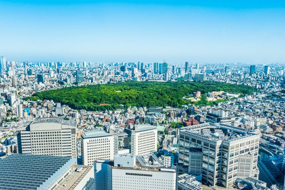 Yoyogi Park, Tokyo 