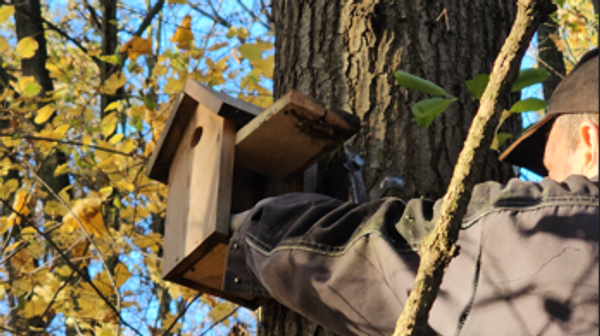 Regularne czyszczenie budek to jeden z najprostszych sposobów, by realnie pomóc ptakom w mieście. Usuwane są zużyte gniazda i pasożyty, dzięki czemu ptaki dostają świeży start w nowym sezonie. 