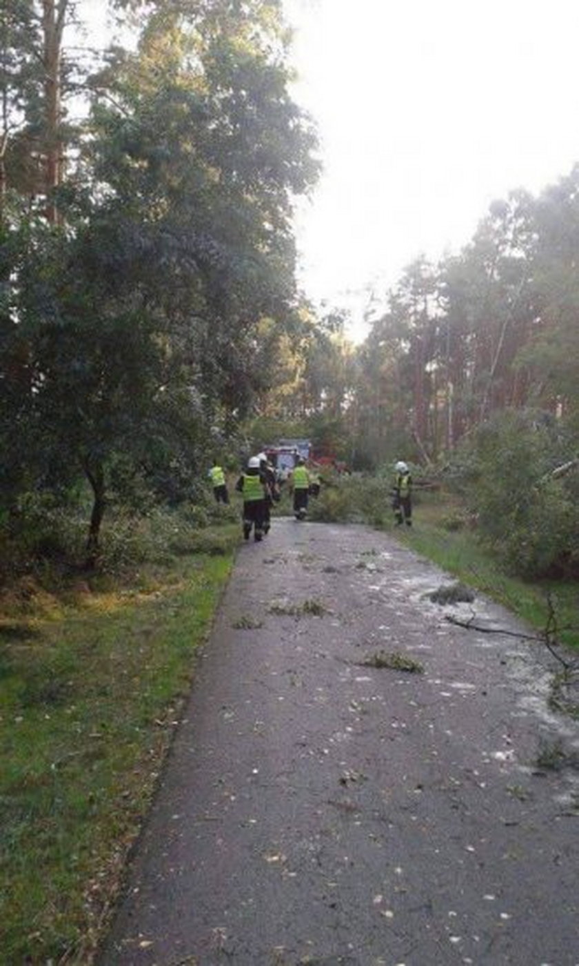 Wielkopolska spustoszona po niedzielnej nawałnicy