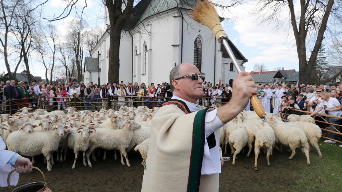 Poświęcenie owiec w Bazylice Wniebowzięcia Najświętszej Marii Panny w Ludźmierzu, w tradycyjne Święto Bacowskie