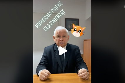 Prezes PiS na TikToku zachęca do poparcia zakazu hodowli zwierząt futerkowych. Rzucił wyzwanie #StopFurChallenge