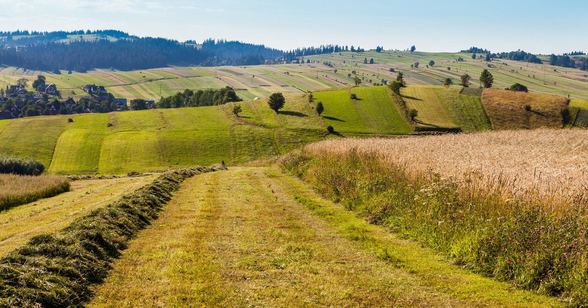 Gminom grożą susze i lokalne podtopienia? Apel o zmianę przepisów
